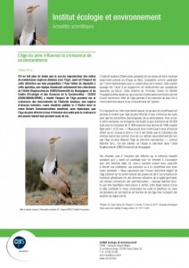 Brève INEE_Outarde houbara_page 1